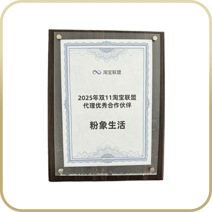 2025年双11淘宝联盟代理优秀合作伙伴